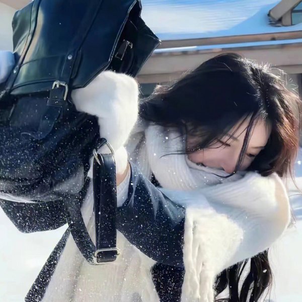 彩虹大盗海报